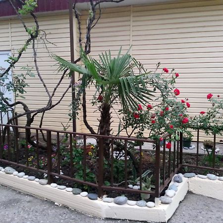 Orhidea Guest House ガグラ エクステリア 写真