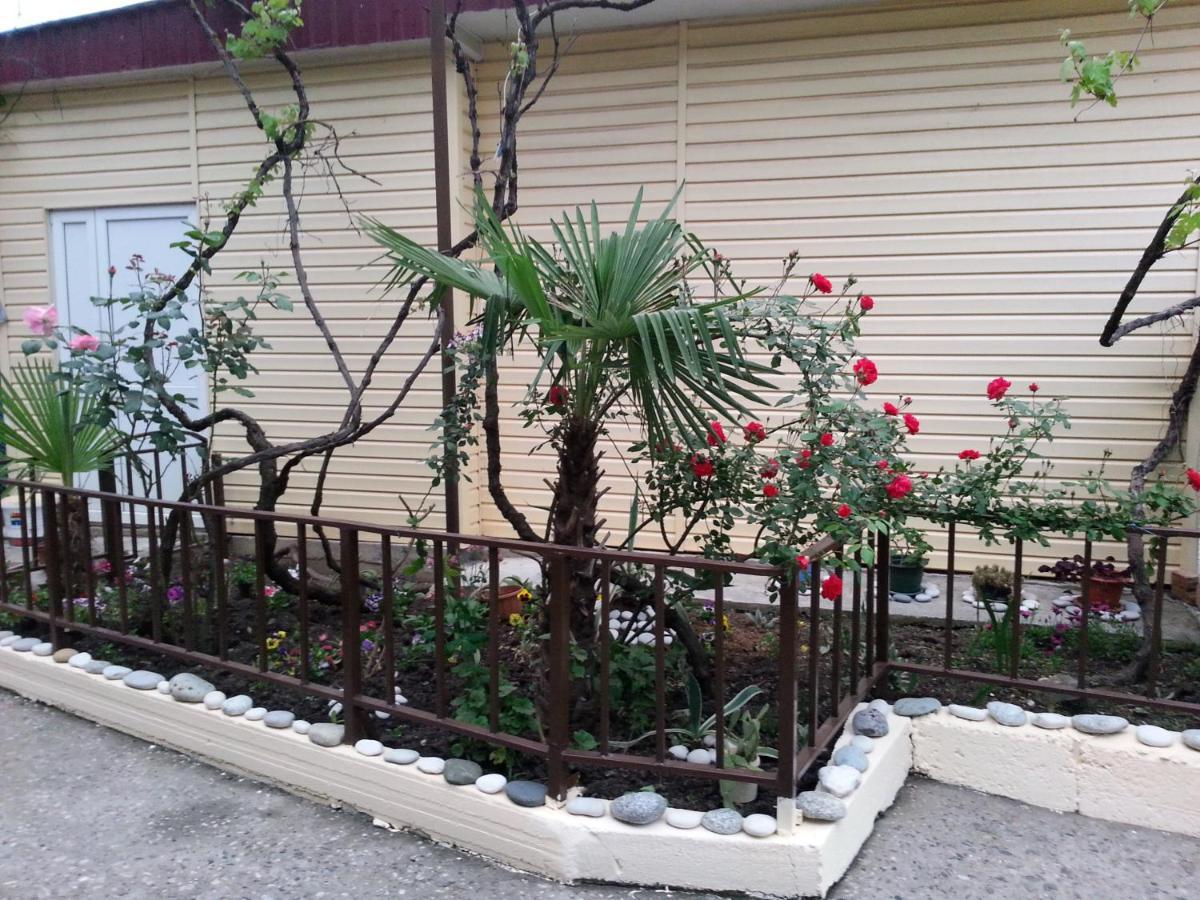 Orhidea Guest House ガグラ エクステリア 写真