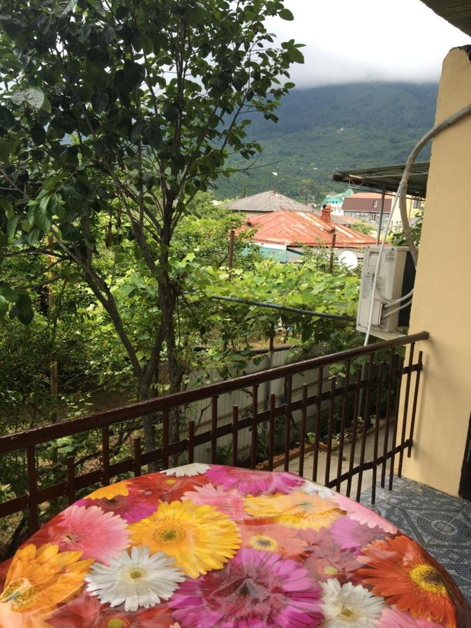 Orhidea Guest House ガグラ エクステリア 写真